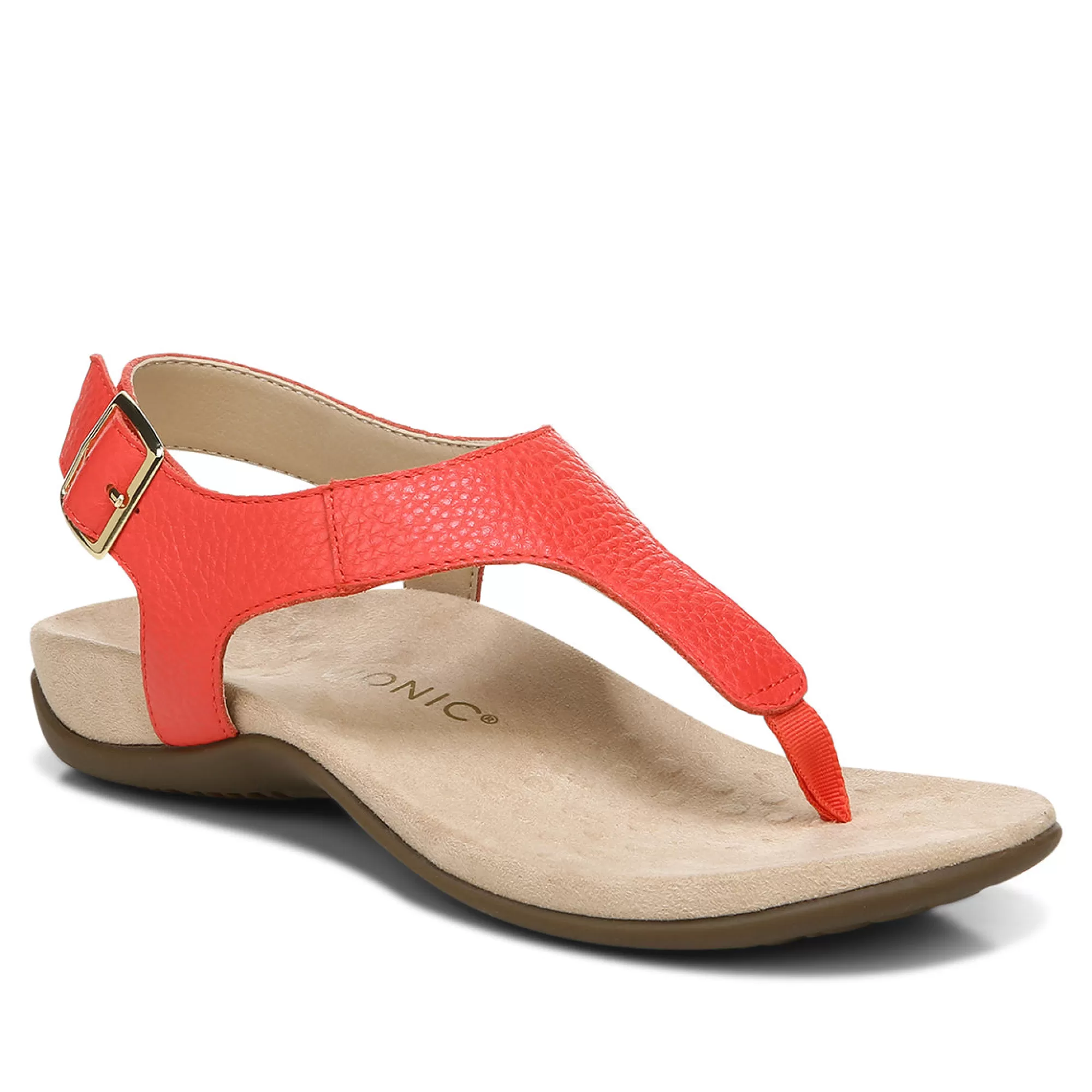 Discount Vionic Terra Sandal Black | Clay | Cream | Lake Blue